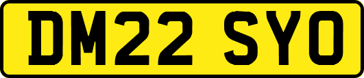 DM22SYO