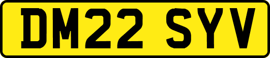 DM22SYV