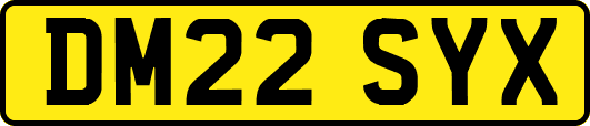 DM22SYX