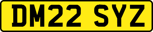 DM22SYZ