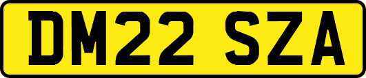 DM22SZA