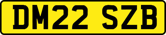 DM22SZB