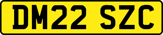DM22SZC