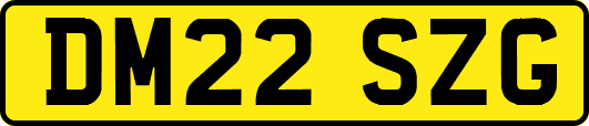 DM22SZG