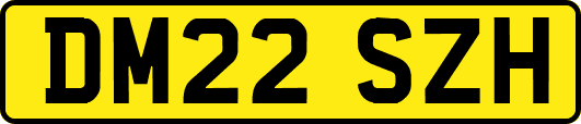 DM22SZH