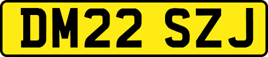 DM22SZJ