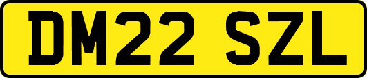 DM22SZL