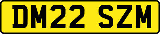 DM22SZM