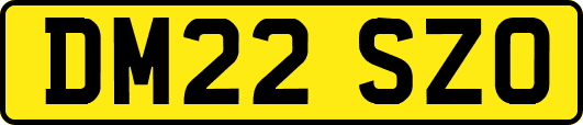 DM22SZO