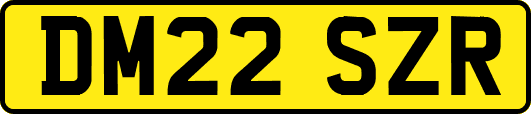 DM22SZR