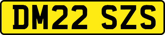 DM22SZS