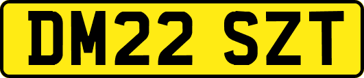 DM22SZT