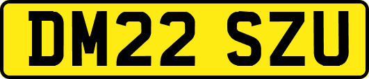 DM22SZU