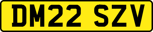 DM22SZV
