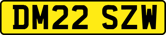 DM22SZW