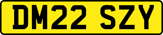 DM22SZY