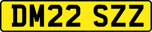 DM22SZZ
