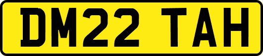 DM22TAH