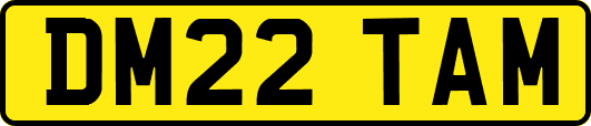 DM22TAM