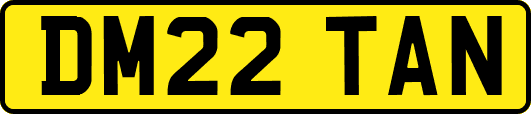 DM22TAN