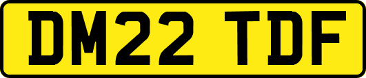 DM22TDF