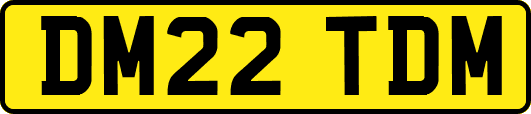 DM22TDM