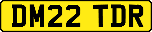 DM22TDR