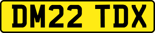 DM22TDX