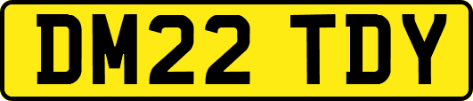 DM22TDY