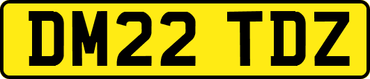 DM22TDZ