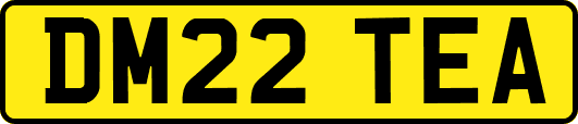 DM22TEA