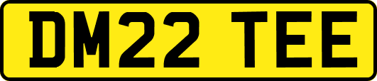 DM22TEE