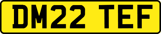 DM22TEF