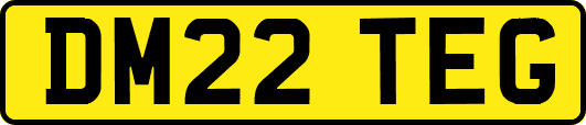 DM22TEG