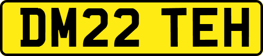 DM22TEH