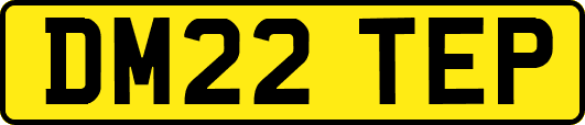 DM22TEP
