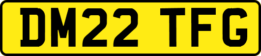 DM22TFG