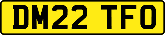 DM22TFO