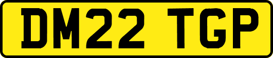DM22TGP