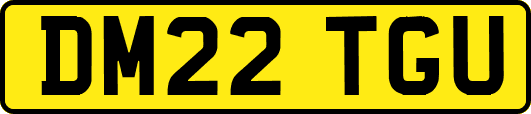 DM22TGU