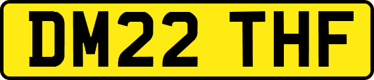 DM22THF