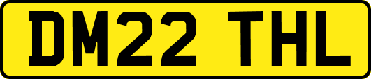 DM22THL