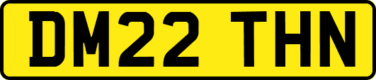 DM22THN
