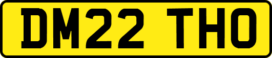 DM22THO