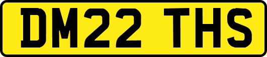 DM22THS