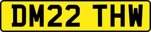 DM22THW