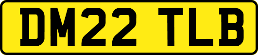 DM22TLB