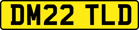 DM22TLD