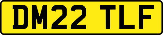 DM22TLF