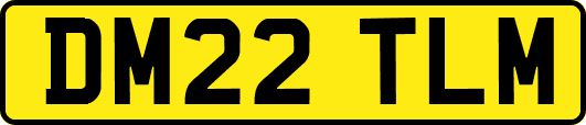 DM22TLM
